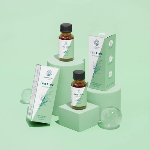 Tea Tree Essential Oil 1 oz by Essential Delights - 100% Pure & Certified Distilled Oil