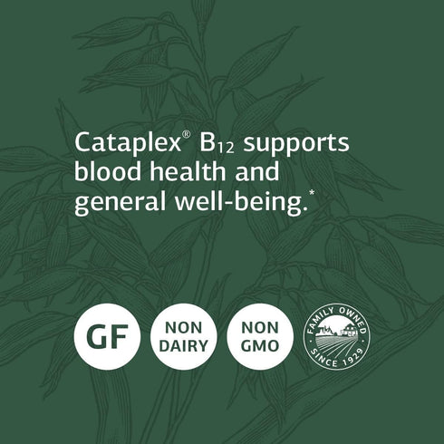 Standard Process Cataplex B12, Vitamin B12 Supplement, Blood Health Support, 90 Tablets