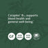 Standard Process Cataplex B12, Vitamin B12 Supplement, Blood Health Support, 90 Tablets