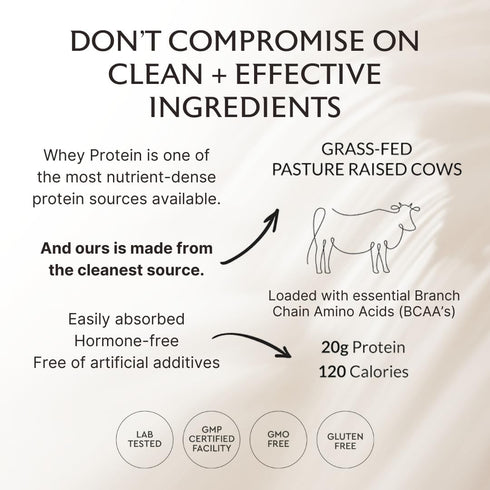 Alaya Naturals Grass Fed Whey Protein Powder - Vanilla Flavor, All Natural, Hormone Free - 20g Protein per Serving