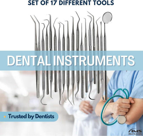 IMED SCIENTIFIC 17 Set Multifunction Dental Tools Pcs Plaque Remover Teeth Cleaning Oral Care Hygiene Kit