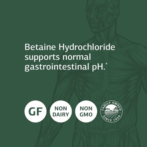 Standard Process Betaine Hydrochloride - Whole Food GI and Digestive Health Supplement, 180 Tablets