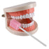 (50 Pack) Disposable Sterile Oral Swabs, Unflavored Dental Sponge Swabsticks for Mouth or Gum Cleaning