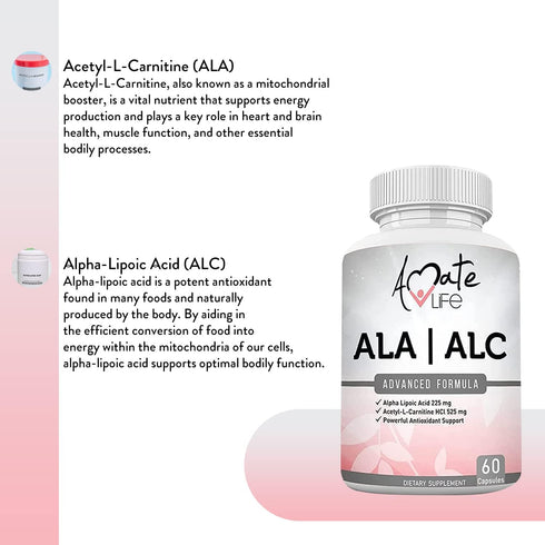 ALA/ALC High Potency Formula - Alpha Lipoic Acid and Acetyl-L-Carnitine HCl Dietary Supplement - 60 Capsules