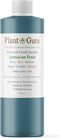 Jamaican Fruit Fragrance Oil 8 fl. oz. Scented Oil for DIY Soap, Candles, Bath Bombs, and Aromatherapy