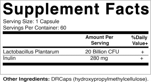Vitamatic Lactobacillus Plantarum - 20 Billion per DR Capsule - 60 Count - Digestive Support - Made with Prebiotic Inulin Fiber