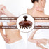 Ymcafmo Tool(2pc) Scalp Massager Brush with Bamboo Bristles, Manual Handheld Scalp Scrubber for Hair Growth, Wet