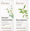 Roman Chamomile Essential Oil for Diffuser & Eucalyptus Essential Oil for Diffuser