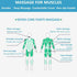 ZJchao Muscle Roller Massage Stick, Multifunctional Magnet Massage Roller Reduce Muscle Soreness Tightness Leg Cramps