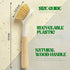 HogarCare Dish Brush with Handle Wood Built-in Scraper, Scrub Brush for Pans, Pots, Saucepan, Kitchen Brushes for Sink