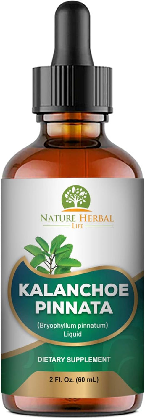 Nature Herbal Life 1 2 oz Kalanchoe Pinnata (Bryophyllum Pinnatum), Glycerite, Dried Leaf and Stem Liquid Extract.