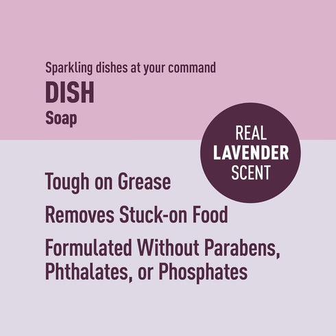 Presto! Dish Soap, Lavender Scent, 30 fl oz, Pack of 2 – Amazon Brand