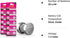 LiCB 20 Pack SR626SW 377 626 1.5V Button Cell Watch Batteries