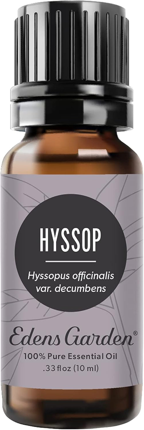 Edens Garden Hyssop Essential Oil - 100% Pure Therapeutic Grade, 10 ml