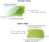 7 Pieces Gua Sha Scraping Massage Tool Set, Natural Resin GuaSha Tool for Face, Back, Neck, with Storage Bag (Green)