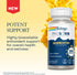 SOLARAY Quercetin Phytosome - 20X Absorption Antioxidants Supplement for Overall Health Support, 30 VegCaps