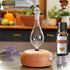 ArOmis Organic Palo Santo Essential Oil - 10ml (.34 Fl Oz) - 100% Pure Therapeutic Grade for Aromatherapy