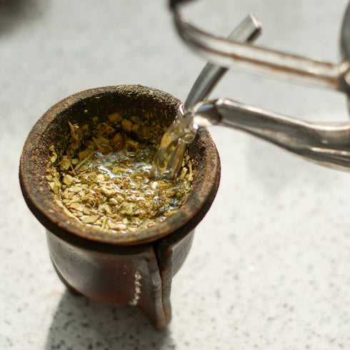 PURE ORIGINAL INGREDIENTS Yerba Mate (100 Capsules) - No Fillers, Always Pure, Lab Verified