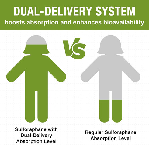 800 MG Liposomal Sulforaphane, Full-Spectrum Broccoli Extract, Antioxidant & Liver Supplement, 120 Softgels