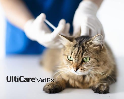U-100 U-100 3/10cc, 31G 5/16, 60 UltiCare VetRx Pet Insulin Syringes, Comfortable & Accurate Dosing of Insulin