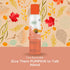 Citrus Magic Limited Edition Natural Odor Eliminating Air Freshener Spray, Cozy Pumpkin Chai, 3-Ounce (Pack of 3)