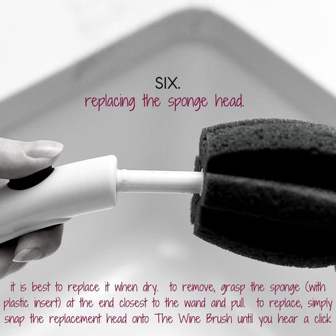 Replacement Sponge Head for The WINE Brush, 2 Count