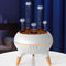 Pmxoaink Jellyfish Essential Oil Diffuser & Humidifier - 260ml Ultrasonic with 7 Colour