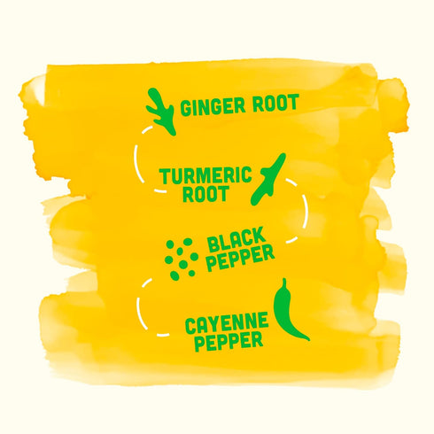 Immune Immunity 2 Oz (Pack 12) Vive Organic Support Shot, Cold-Pressed Ginger, Turmeric & Cayenne, Gluten Free, Vegan