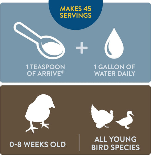 Arrive, Daily Probiotic & Prebiotic Water Supplement for Young Chickens, 0-8 Weeks Old, 8 oz
