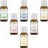 Weight loss set Essential Oil Variety set Kit - 6 Pack - 100% Pure Therapeutic Grade 10 ml. Set includes- (Peppermint, Grapefruit, Juniper Berry, Lemon, Ginger, Bergamot)