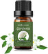 Sedbuwza Gardenia Essential Oil - 100% Pure Organic Aromatherapy Gift Oil for Diffuser, Humidifier, Soap