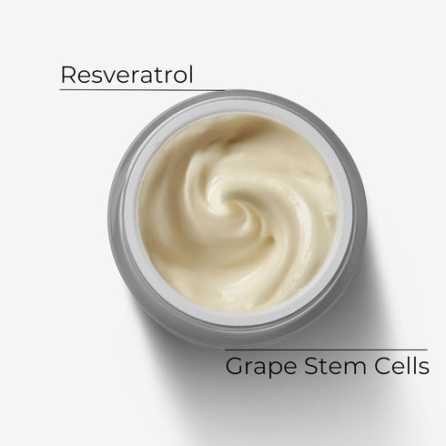 M. Asam VINOLIFT Skin Tightening Cream (50 ml) - Anti-aging Firming Face Cream for Mature & Dry Skin