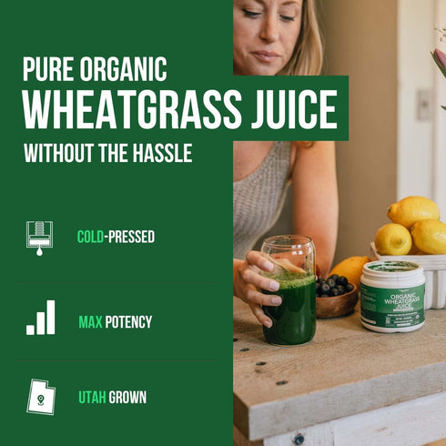 Organic Wheatgrass Juice Powder - Raw BioActive Form, Cold-Pressed, 20:1 Concentrate Juice Extract, Unflavored (5.3 oz)
