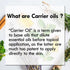 Pure Babchi (Bakuchi) Oil (Psoralea corylifolia) Cold Pressed 50ml (1.69 oz) - 100% Natural Essential Oil