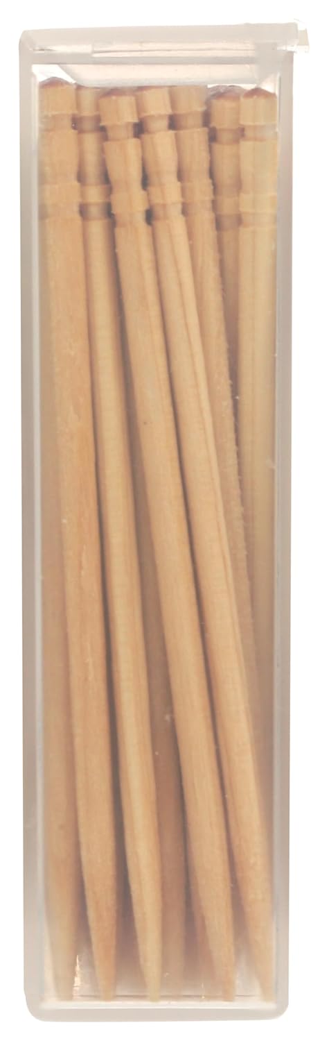 Auromere Ayurvedic Neem Toothpicks, 100 CT