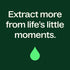 Plant Therapy Geranium Bourbon Essential Oil, 100% Pure, 10 mL (1/3 oz), Natural Aromatherapy