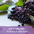 Gummies Immune 120 Gummies Garden of Life Organics Elderberry for Adults & Kids - Support Supplement with Organic