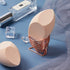 Makeup Sponge Blender & Holder, BIG & SOFT Beauty Blender Puff Set, Applicator Blending Blenders & Sponge Holder
