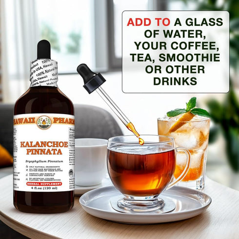 Hawaii Pharm 2 fl.oz Kalanchoe Pinnata (Bryophyllum Pinnatum) Dry Leaf and Stem Tincture, Made in Hawaii, All Natural