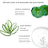 Salicylic Acid Ice Cream Mask, Acne Moisturizing Smear Mask for Blackheads and Pore Cleansing