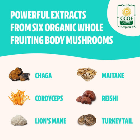 FreshCap Ultimate Mushroom Complex - Lions Mane, Reishi, Cordyceps, Chaga, Turkey Tail, Maitake - 60 Capsules for