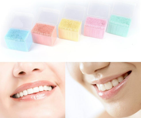 1100pcs Soft Plastic Double-Head Brushed Toothpick for Oral Care Interdental Brush
