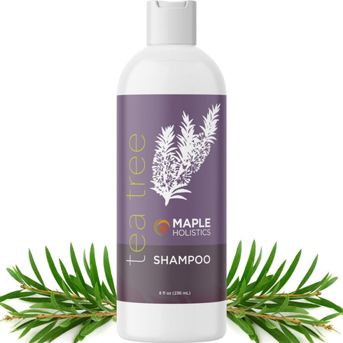 Tea Tree Shampoo for Oily Hair - Purifying Aromatherapy with Tea Tree Oil - Paraben & Sulfate Free, 16 fl oz
