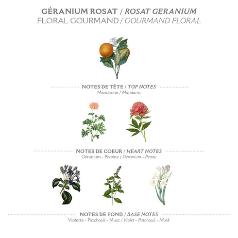 Panier des Sens Rose Geranium Bar Soap - Natural Moisturizing Soap with Olive Oil - Vegan Friendly - 2x5.3 oz