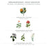 Panier des Sens - Geranium Body Lotion for Dry Skin, 8.45 Floz Hydrating Body Cream with Shea Butter & Olive Oil