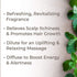 Plant Therapy Peppermint Essential Oil 100% Pure, Pre-Diluted Roll-On, Natural Aromatherapy, Therapeutic Grade 10 mL (1/3 oz)