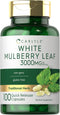 Carlyle Mulberry Leaf Extract | 3000mg | 100 Capsules | Non-GMO & Gluten Free Herbal Supplement