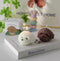 T-shin Teddy Dog Shaped Scented Candle,100G Cute Puppy Animal Aroma Soy Wax Decorative