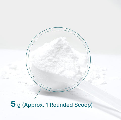 Creatine Monohydrate Powder 300 Grams (60 Servings), Unflavored, Micronized Creatine Powder, Vegan, Keto, Non-GMO
