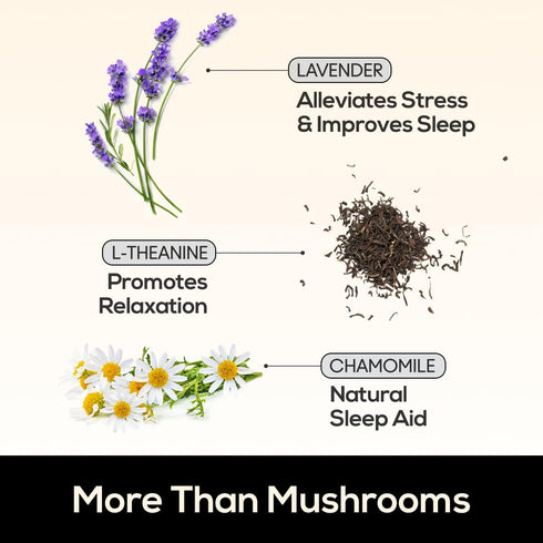 Gummy Gummies (60 Count) TrueMushroom - Sleep Support Mushroom Supplement with Melatonin for Sleep and Relaxation